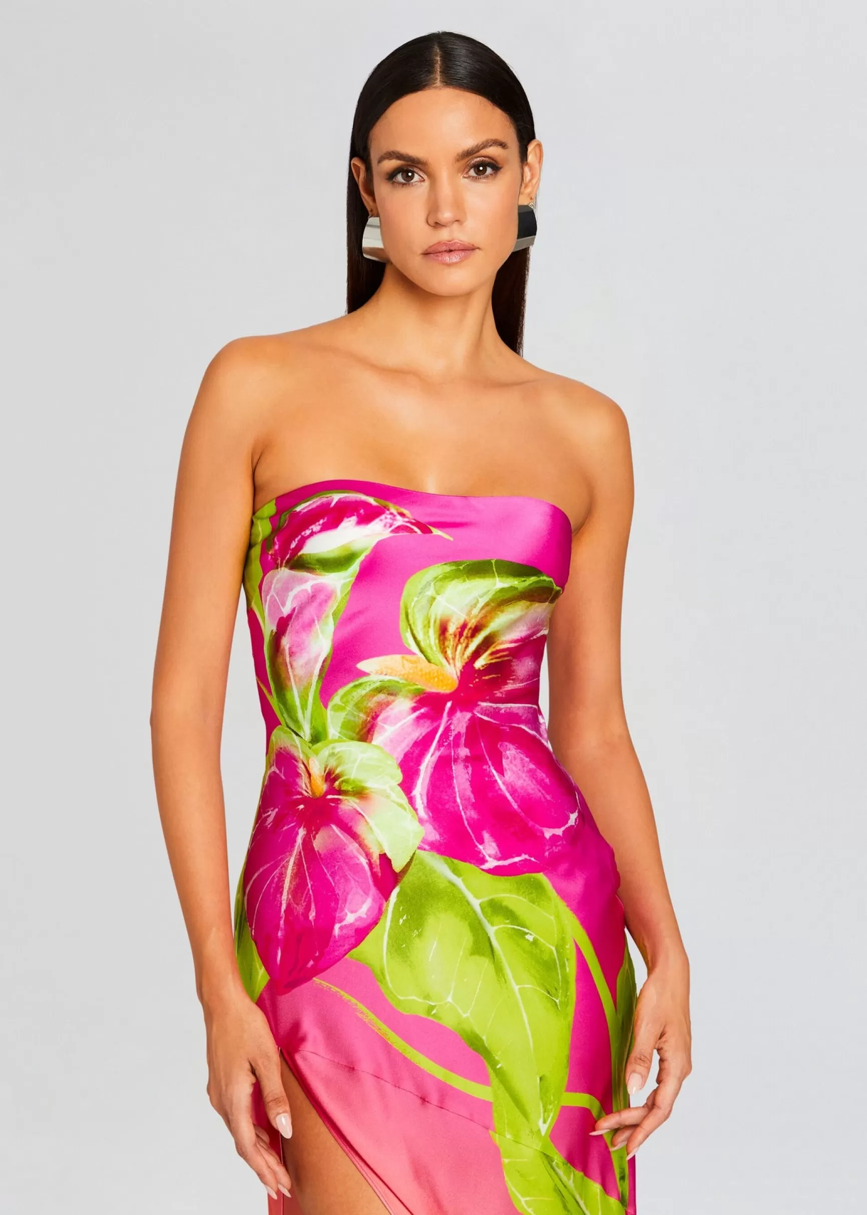 Maxi*Retrofete Aiyanna Silk Dress Ombre Anthurium