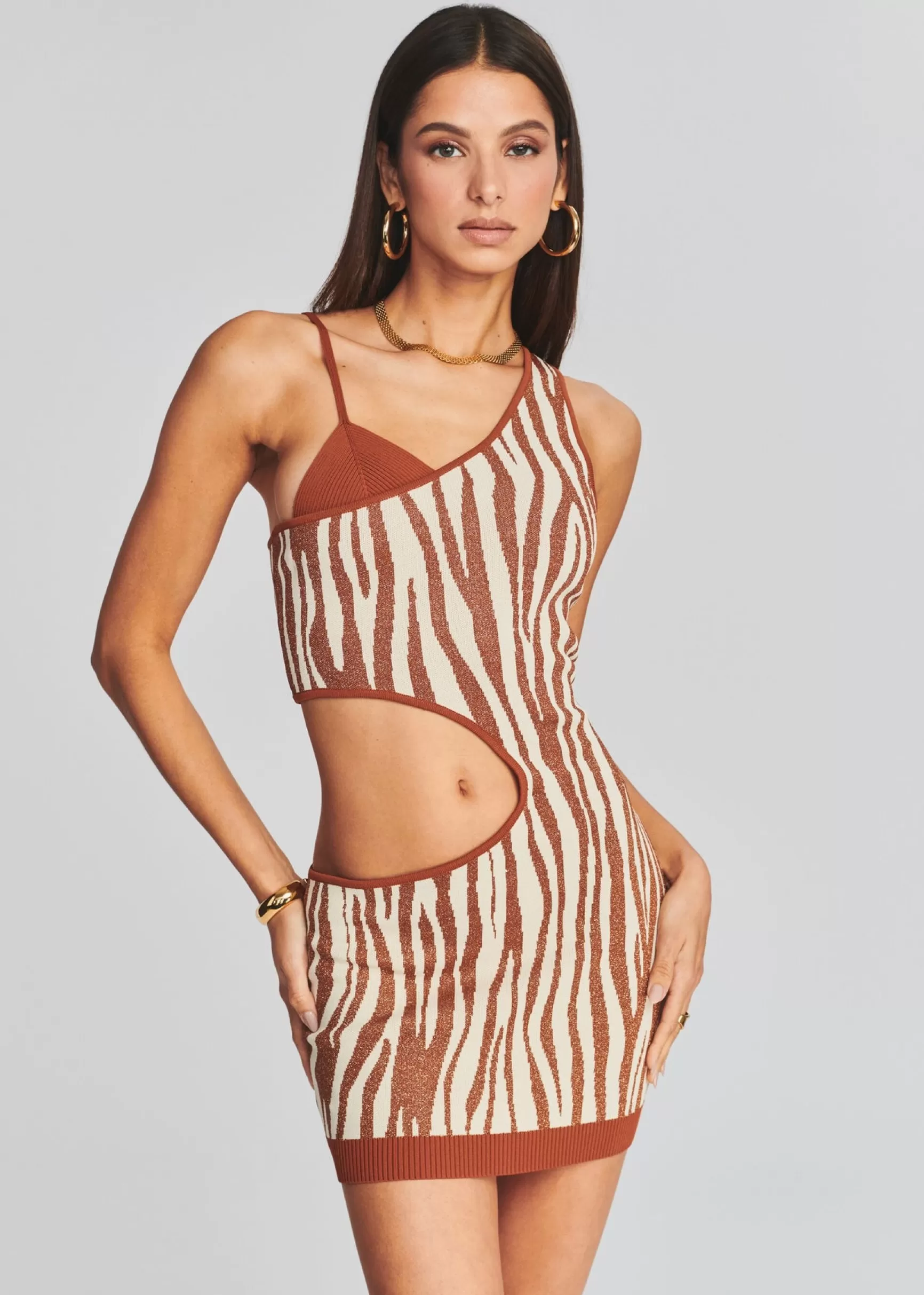 Final Sale*Retrofete Dimi Dress Brown Zebra