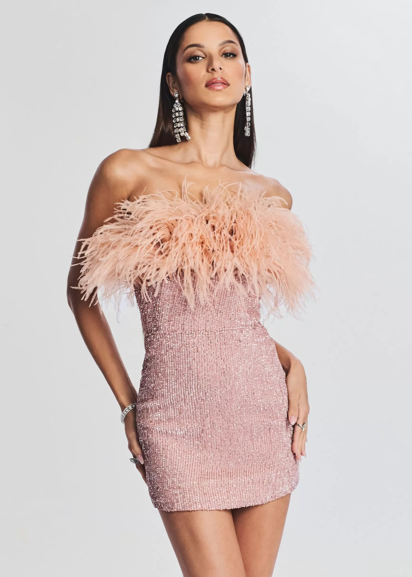 RETROFÊTE*Retrofete Torin Sequin Feather Dress Dusty Peach